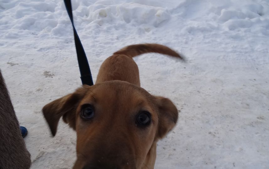 Из семейного архива. Фото предоставила семья Сорокиных