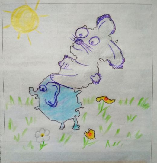 Верхом на слоне. Фото Ульяна