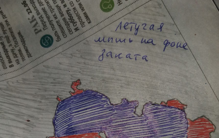 Летучая мышь на фоне заката. Фото Анна Забегайло