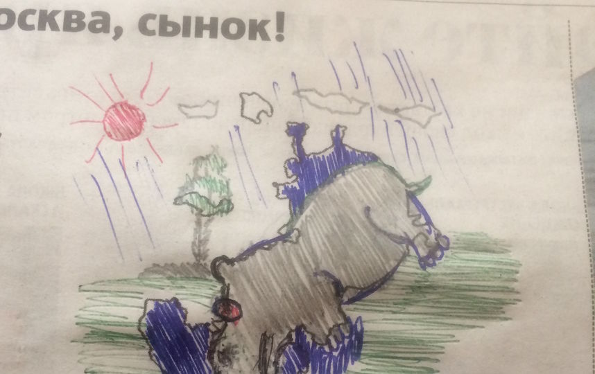 Бегемот в луже. Фото Владимир