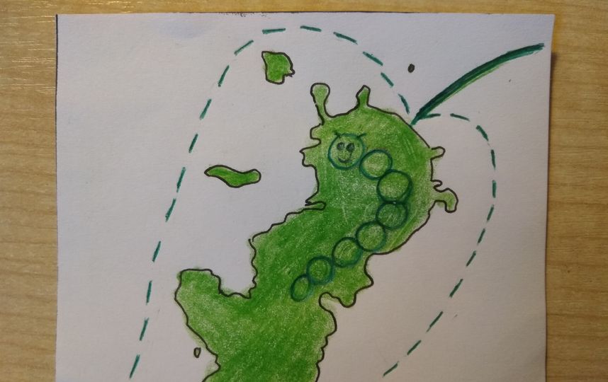 Так как эту неделю я провёл у бабушки и дедушки за городом, то моя фантазия на природную тему: в контуре города увидел объеденный гусеницей лист. Фото Владимир Банщиков.