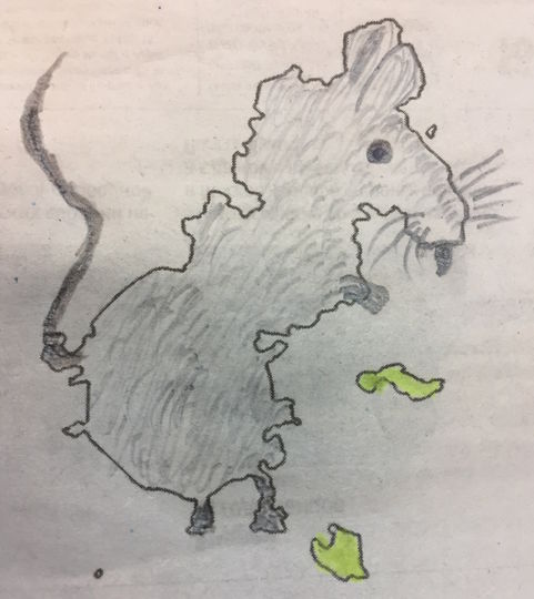 Я перевернула картинку и увидела крысу. Дорисовала немного, и вот. Фото Елена Федорова.