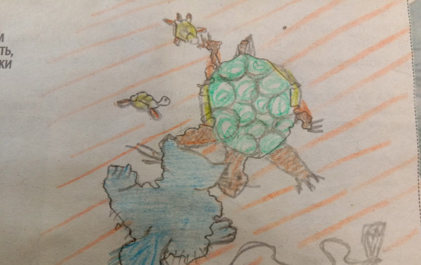 Любовь к домашним животным особенная. Мурзик и черепаха с детками. Фото Марина Иванова.