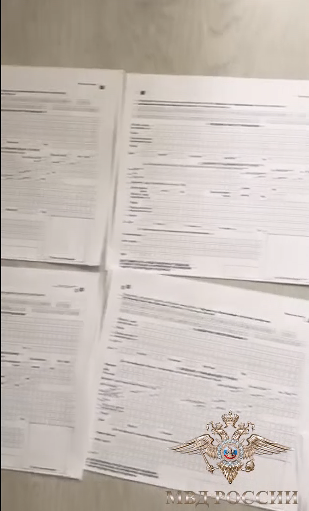 скриншот видео МВД России.