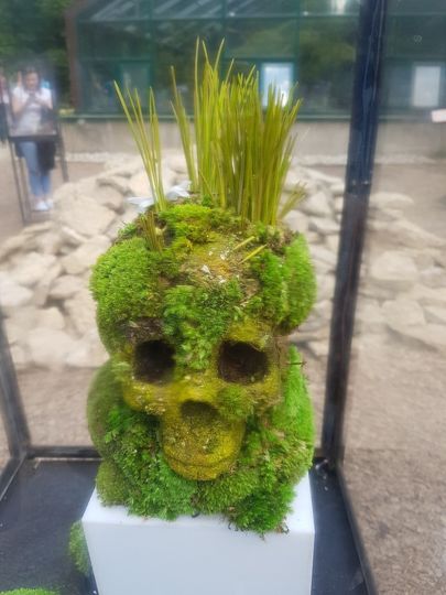 "Второе дыхание" Анастасии Дубач. Фото Василий Кузьмичёнок