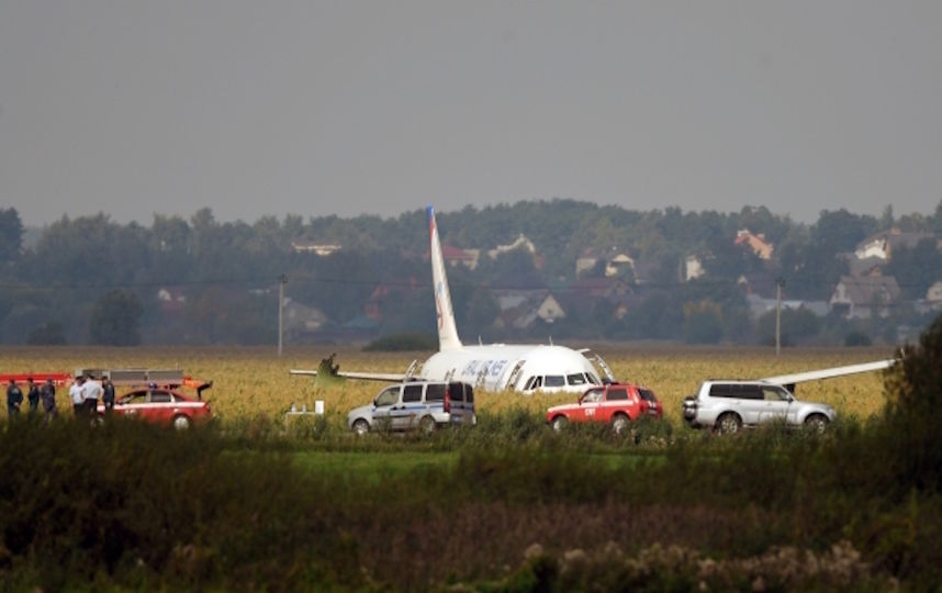Судно совершило аварийную посадку в кукурузном поле в районе деревни Рыбаки Московской области. Фото РИА Новости