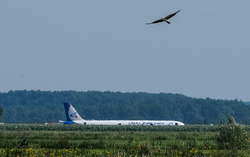 На борту воздушного судна находилось 233 человека. Фото AFP