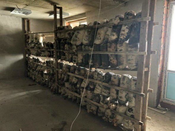 В самостроях часто находят запрещённое. Фото предоставлены Госинспекцией по недвижимости