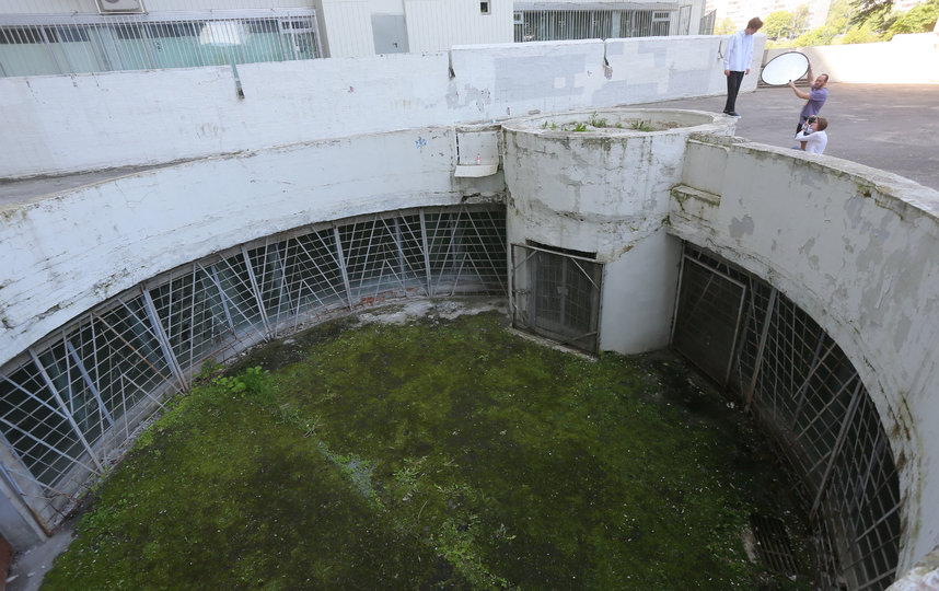 Этот огромный колодец – бывший эвакуационный выход из гаража. Раньше туда вела лестница с улицы. Но в колодце стали собираться местные алкаши, в результате лестницу демонтировали. Фото Василий Кузьмичёнок