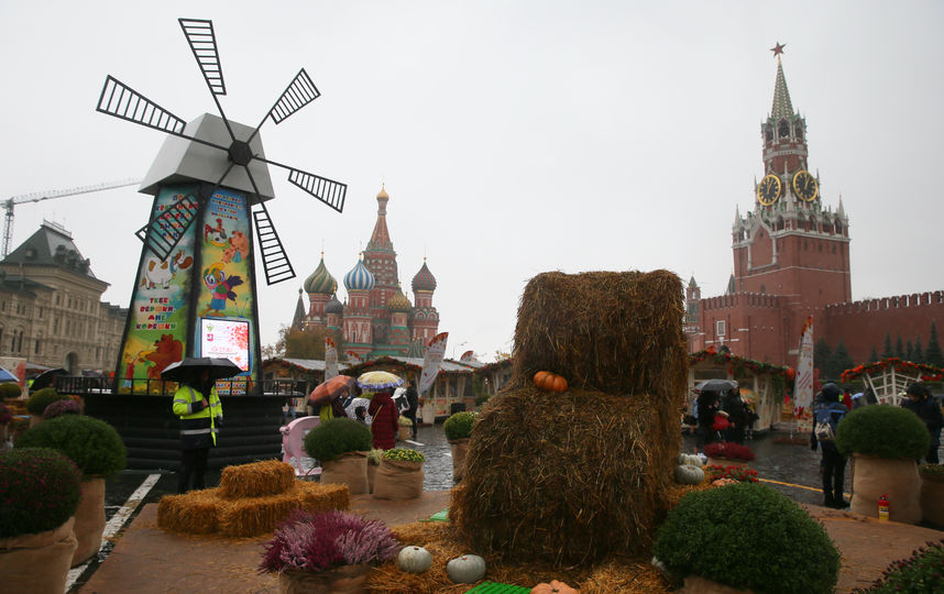 Красная площадь превратилась в живописный сельский пейзаж. Фото Василий Кузьмичёнок