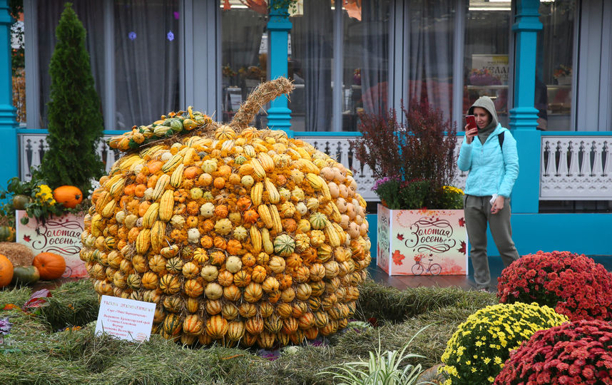 Тыквы разных форм, цветов и размеров "прописались" на площади Революции. Фото Василий Кузьмичёнок