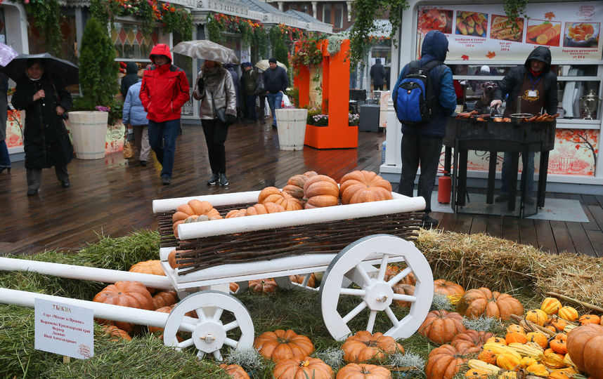 Центр Москвы заполнили тракторы и тыквы. Фото Василий Кузьмичёнок
