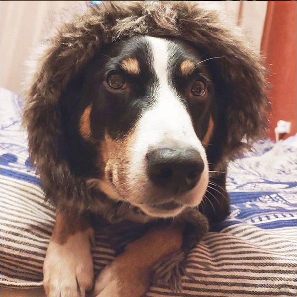 Виолетта Апенцеллер. Фото Instagram: @poetessa_s_ruchkoi