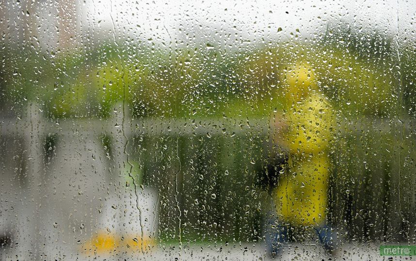 Дожди, грозы и похолодание ожидаются в Москве
