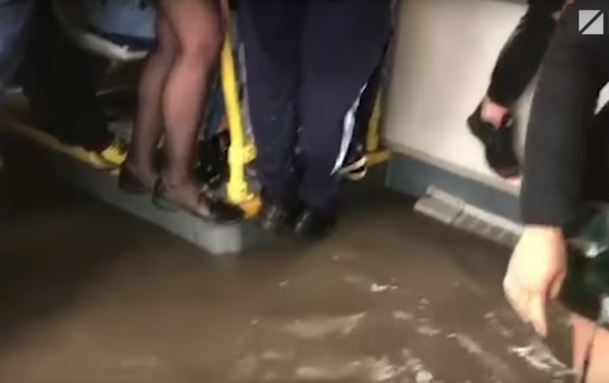 Скриншот youtube.com/watch?v=S3WyPCUxuLs.