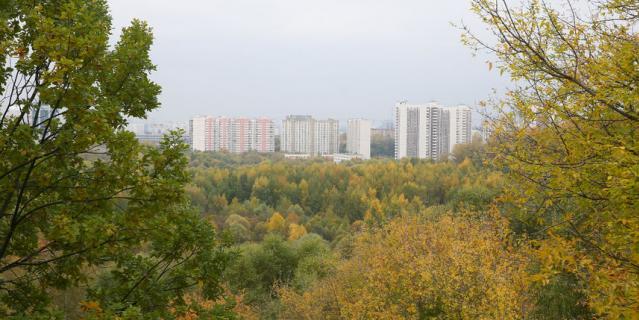 В Сходненской чаше часто можно встретить кладоискателей: ищут ценности, зарытые Лжедмитрием во время "стоянки" в этих местах.