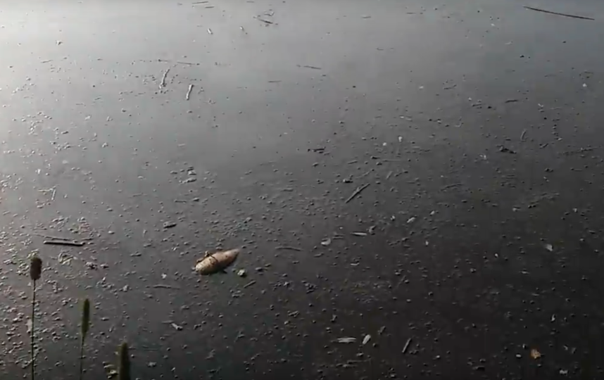 youtube.com/watch?v=R6Nb9PT1RbM.