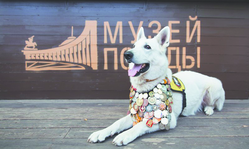 12. День фронтовой. Фото Предоставлено организаторами