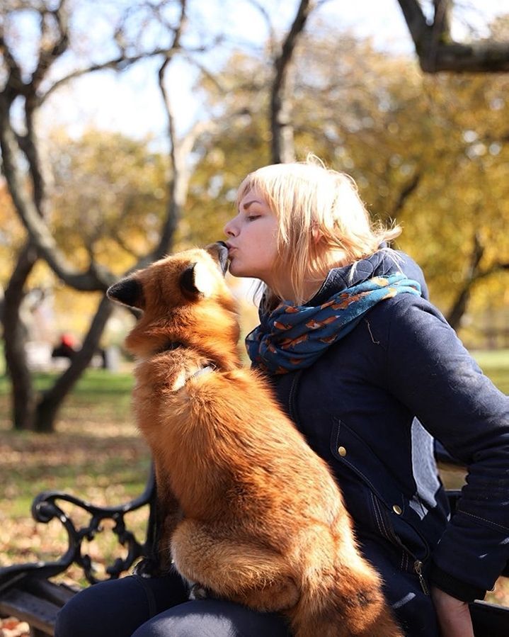Лиса-краса и её хозяйка Анастасия. Фото Фото Ксения Вершинина, Instagram/@kseniavershinina, Instagram/@askapetfox.