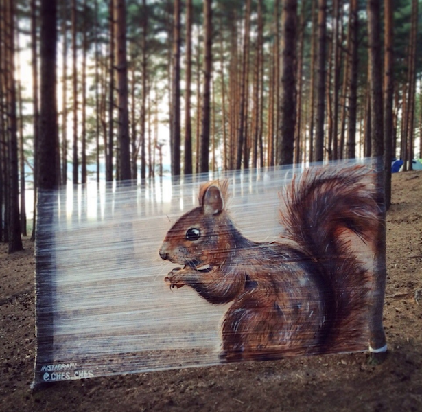 Белка – первая картина Евгения, нарисованная на плёнке (2014 год). Фото предоставлено Евгением Чесом; instagram @ches_ches, "Metro"