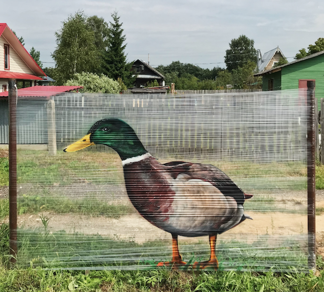Утку художник нарисовал рядом со своим дачным участком (2018 год). Фото предоставлено Евгением Чесом; instagram @ches_ches, "Metro"