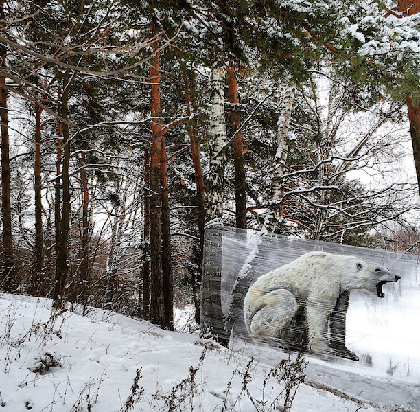 Медведя Евгений изобразил в лесопарковой зоне в Москве (2016 год). Фото предоставлено Евгением Чесом; instagram @ches_ches, "Metro"