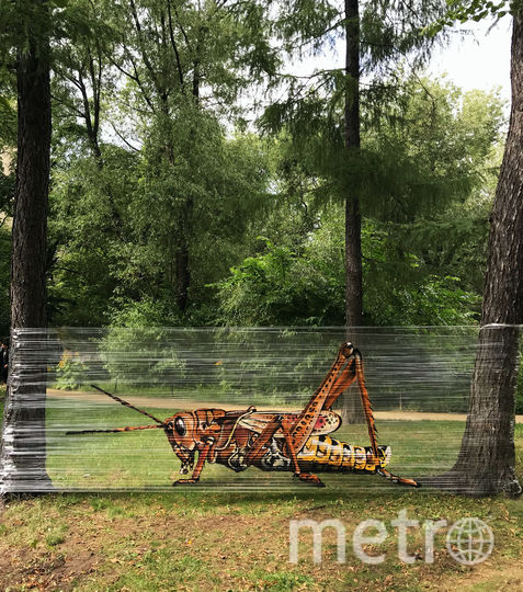 Кузнечик – одна из последних работ художника (2019 год). Фото предоставлено Евгением Чесом; instagram @ches_ches, "Metro"