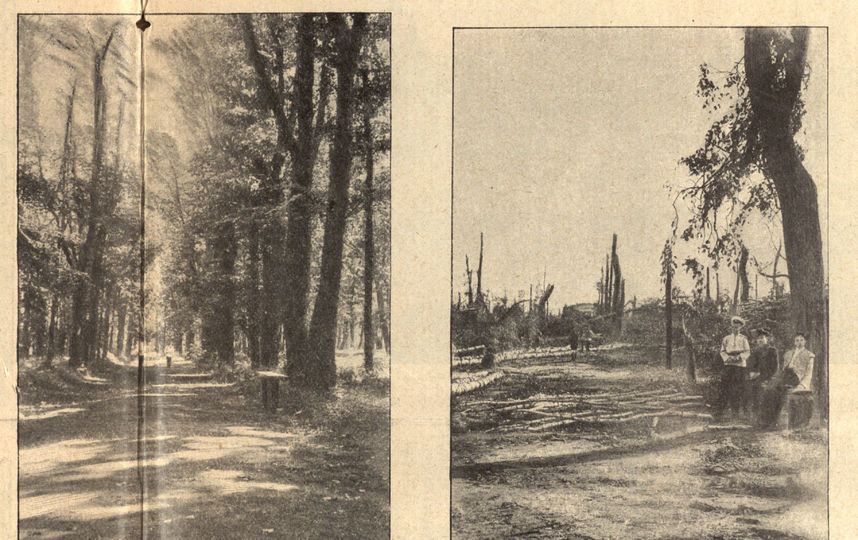 Главная аллея Лефортовского дворцового парка до и после смерча. Фото Журнал "Искра".