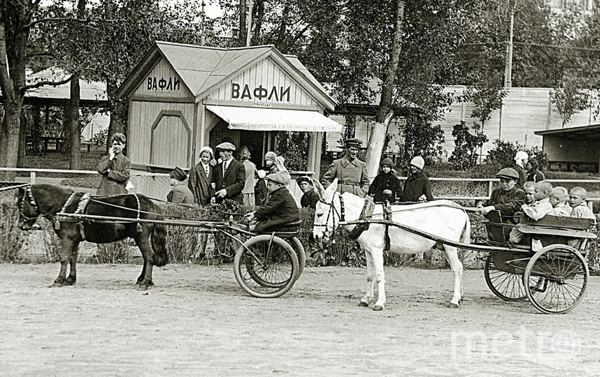 1930-е годы. Катание в зоосаде на осликах и пони. Фото пресс-служба Московского зоопарка, "Metro"
