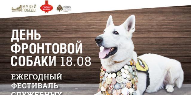 Узнать о подвигах четвероногих в годы войны можно будет 18 августа.