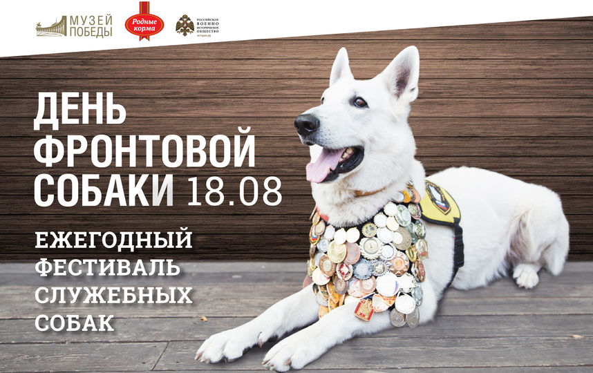 Узнать о подвигах четвероногих в годы войны можно будет 18 августа. Фото Предоставлено организаторами