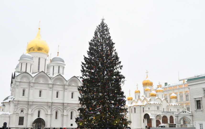 Ёлка на Соборной площади Московского Кремля. Фото РИА Новости