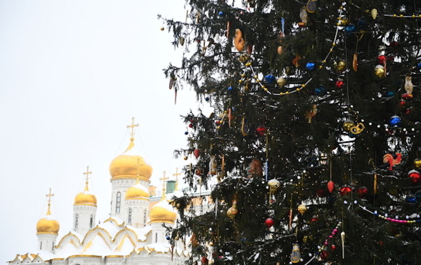 Ёлка на Соборной площади Московского Кремля. Фото РИА Новости