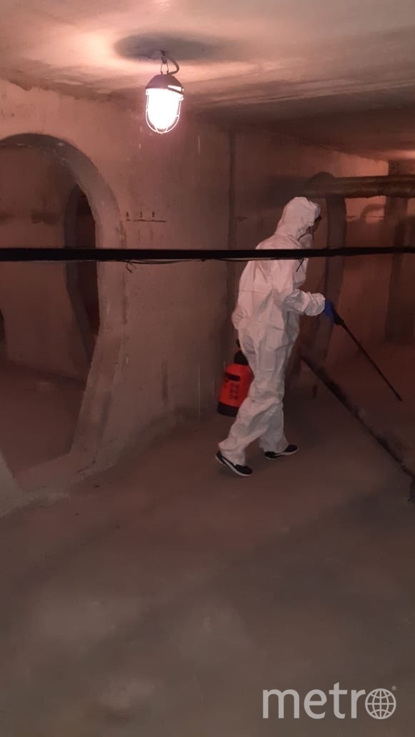 Обработка подвалов жилых домов. Фото предоставлено источником, "Metro"