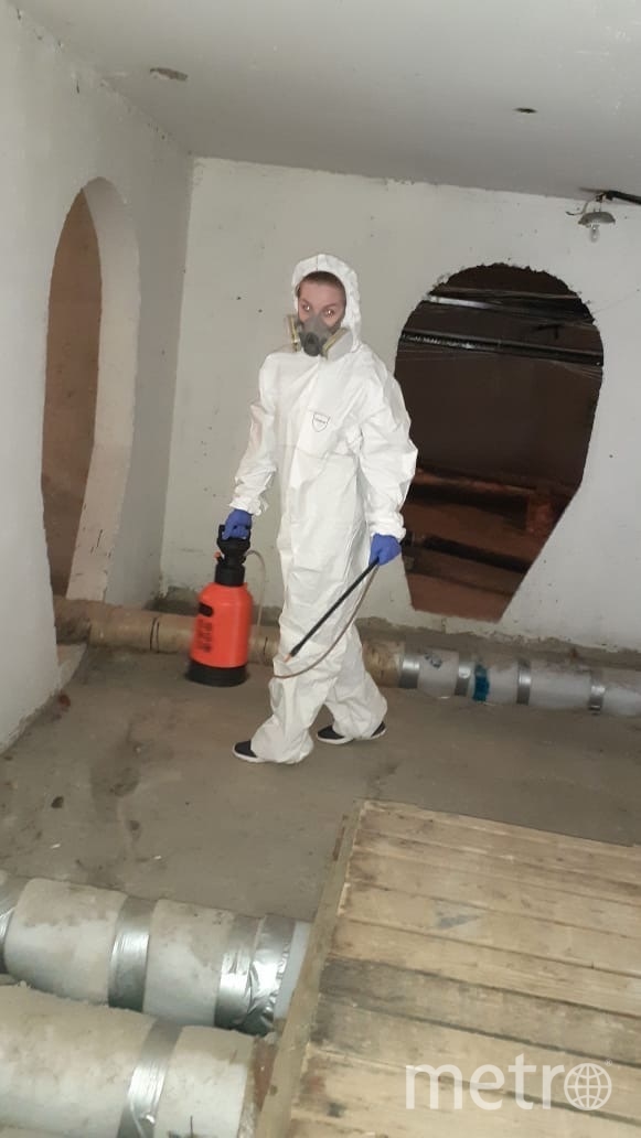 Обработка подвалов жилых домов. Фото предоставлено источником, "Metro"
