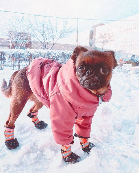 Модница Юмка. Фото скриншот instagram.com/lady_yumka/