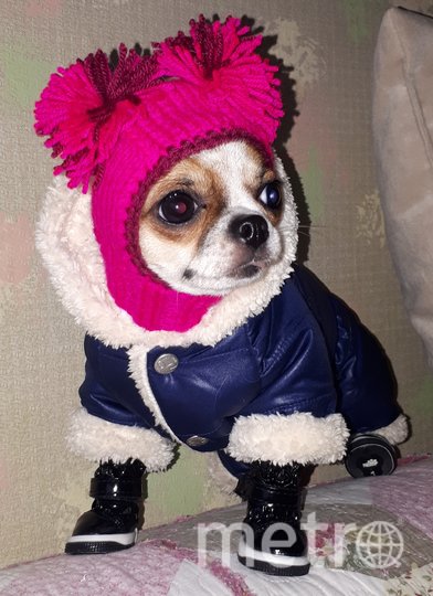 Верджилия и её стильный "лук". Фото  Екатерина, "Metro"