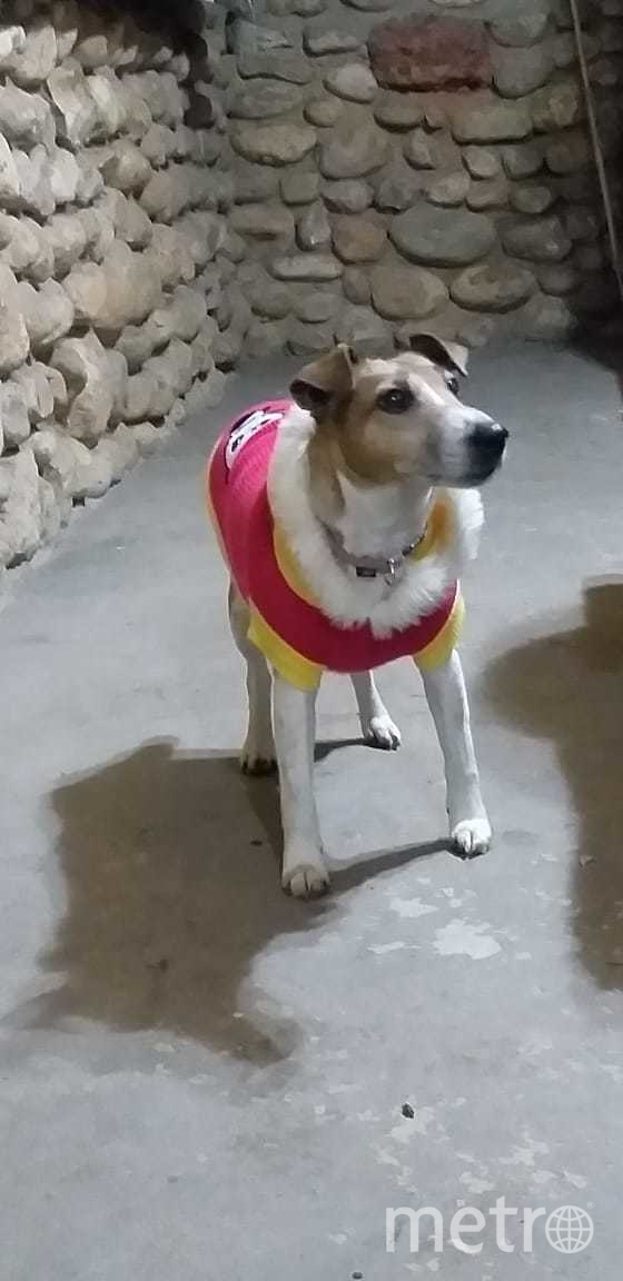 Модница Джессика. Фото Лариса, "Metro"