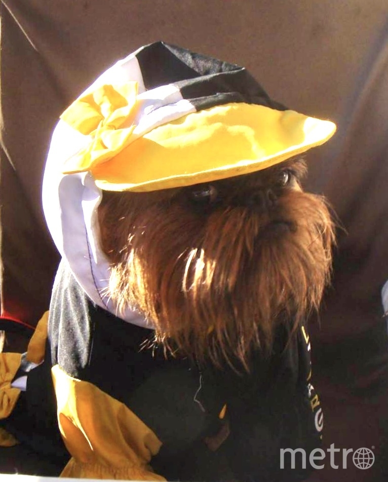 Эта красотка тоже самая модная на районе. Фото Елена , "Metro"