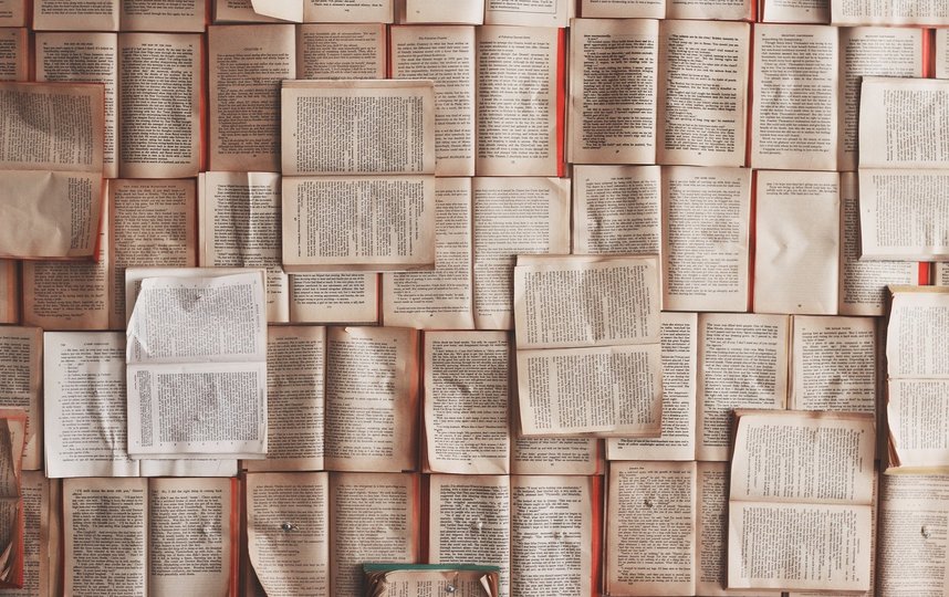 В Москве создан единый сервис для поиска и бронирования книг в библиотеках – Сергунина