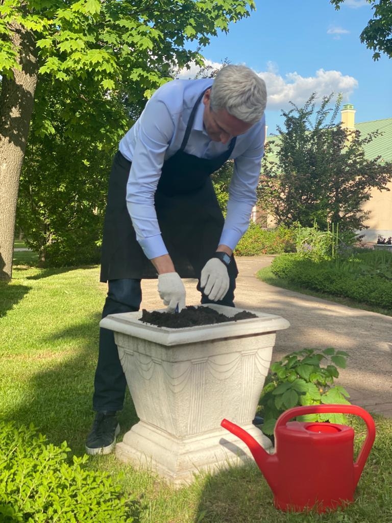 В парке "Царицыно" стартовал новый сезон экспозиции "Сад лекарственных растений"