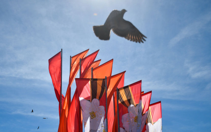 Столица готовится отпраздновать 72-ю годовщину Великой Победы. Фото Василий Кузьмичёнок, РИА Новости