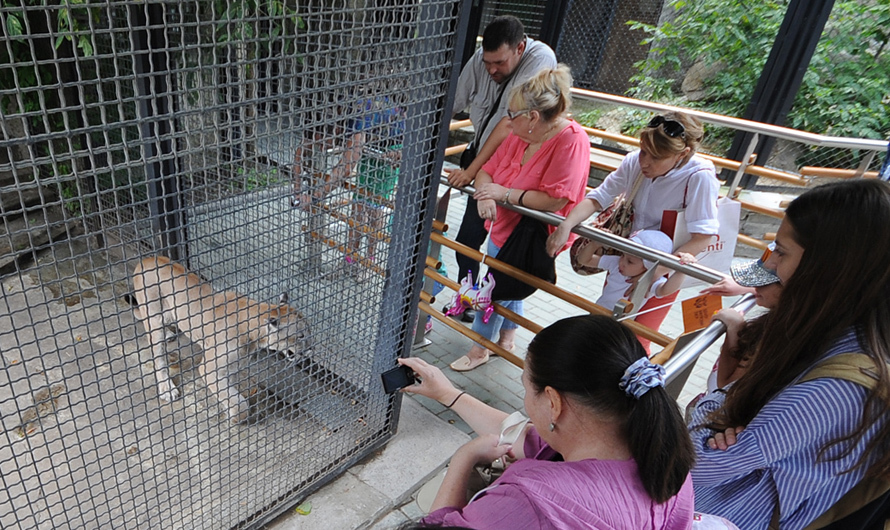 Программа мероприятий в День защиты детей 1 июня. Фото mos.ru