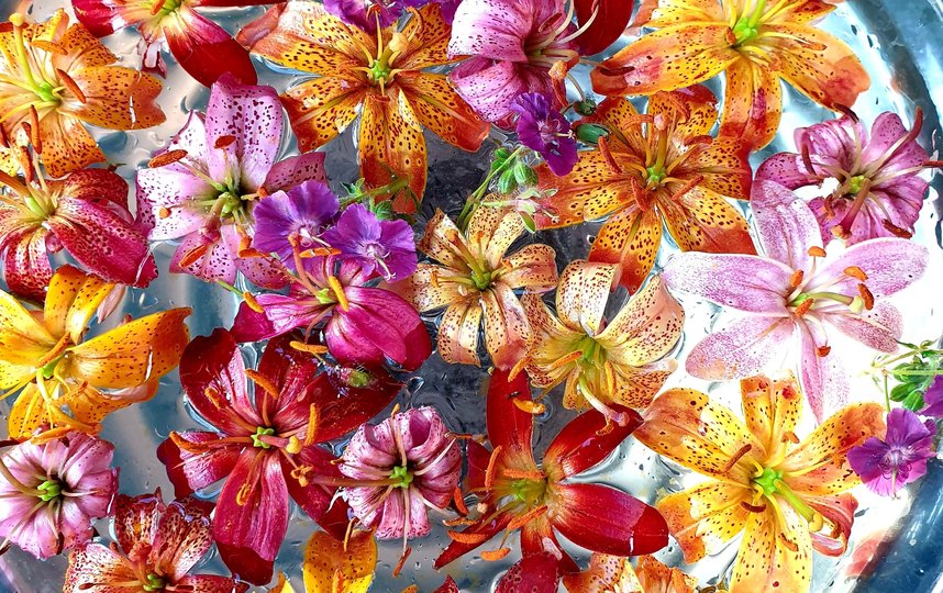 Выставка "Все лучшее в июле..." пройдёт с 7 по 17 июля. Фото Предоставлено организаторами