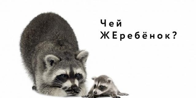 Дети и детёныши.