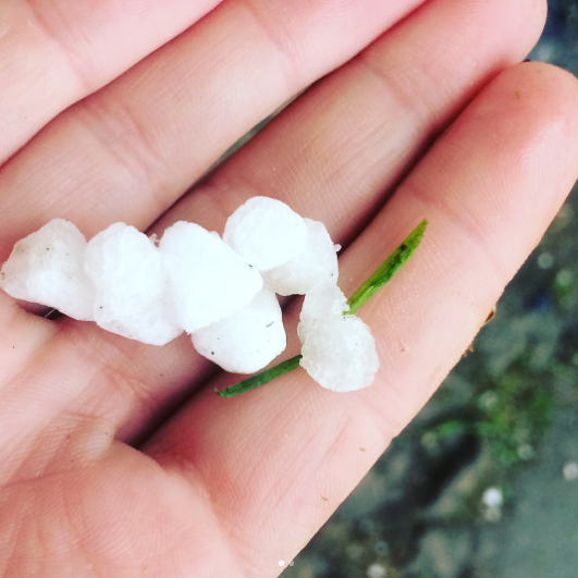 Град в Москве. Фото Instagram/_exclusivnaya