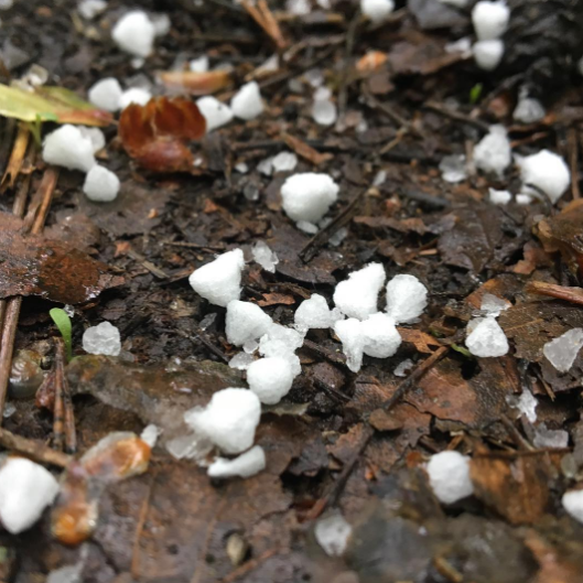 Град в Москве. Фото Instagram/kalistoalt