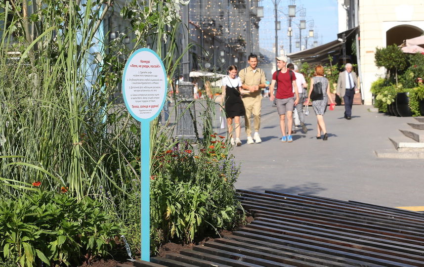 Выиграй суперкрутой плоскостной секатор PowerGearX, а также совок и перчатки. Фото Василий Кузьмичёнок