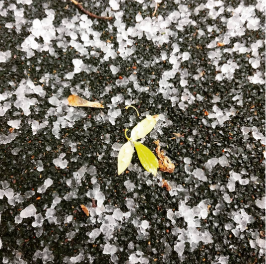 Град в Москве. Фото Instagram/dr.bobr_hous