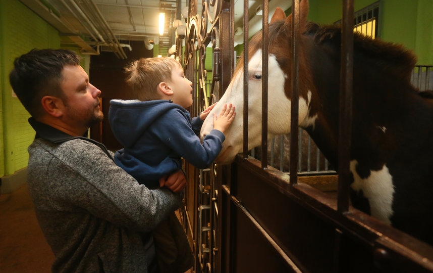 Саша Никитин и его семья побывали на репетиции в цирке. Фото Василий Кузьмичёнок